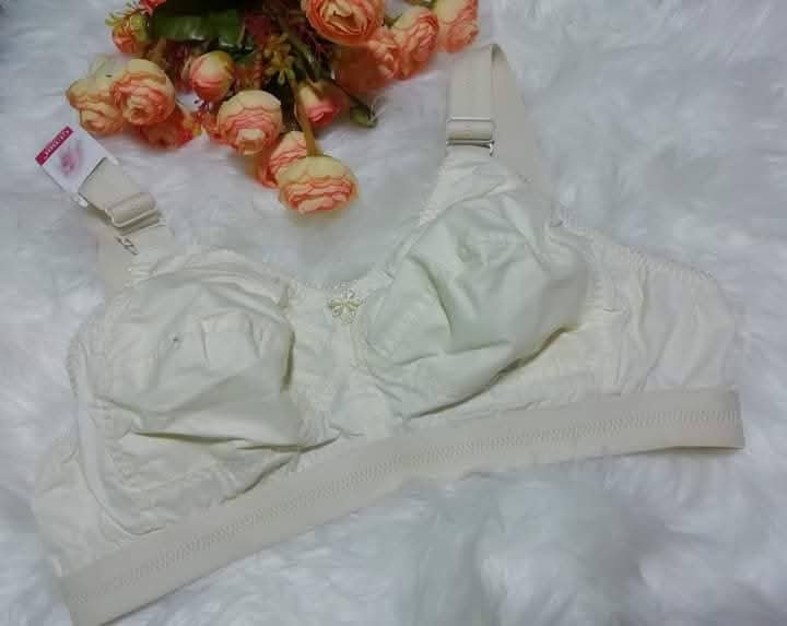 FB_IMG_1744607949134