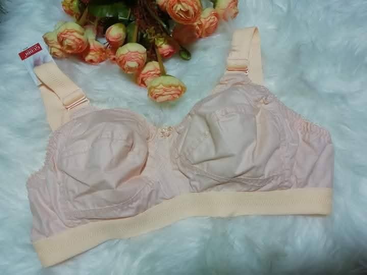 FB_IMG_1744607952737